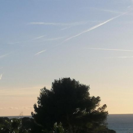 Sanary Les Gorguettes, Studio Avec Terrasse Vue Mer, A 10 Min A Pieds De La Plage Luaran gambar